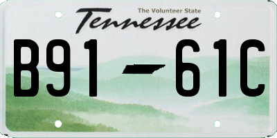 TN license plate B9161C