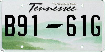 TN license plate B9161G