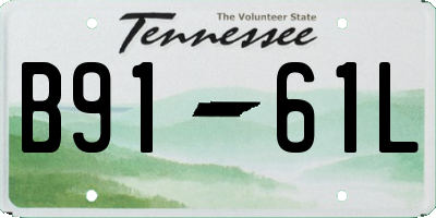 TN license plate B9161L