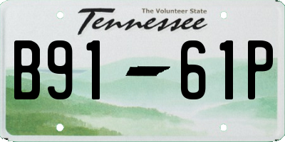 TN license plate B9161P