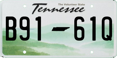 TN license plate B9161Q