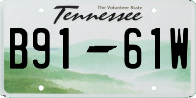 TN license plate B9161W