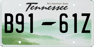 TN license plate B9161Z