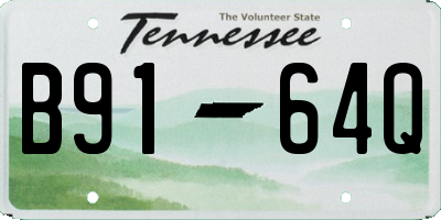 TN license plate B9164Q
