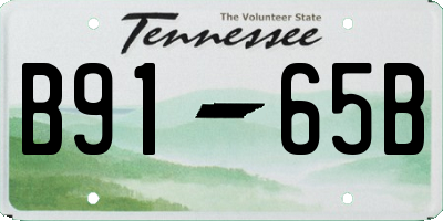 TN license plate B9165B