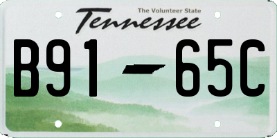 TN license plate B9165C