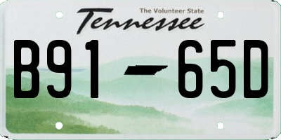 TN license plate B9165D