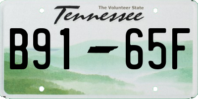 TN license plate B9165F