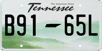TN license plate B9165L