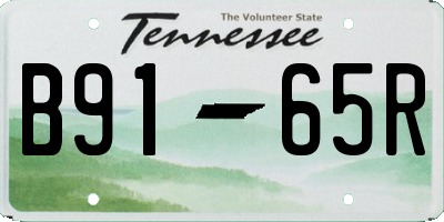TN license plate B9165R