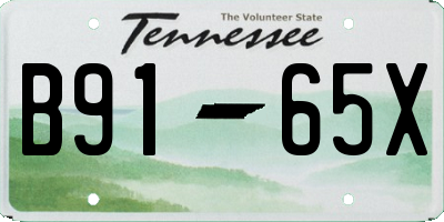 TN license plate B9165X