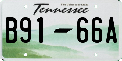 TN license plate B9166A