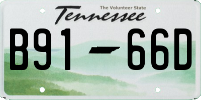 TN license plate B9166D
