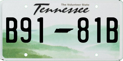 TN license plate B9181B