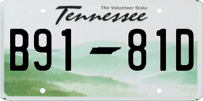 TN license plate B9181D