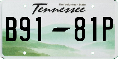 TN license plate B9181P