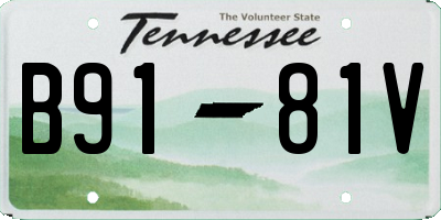 TN license plate B9181V