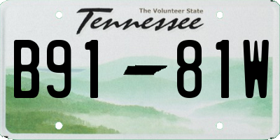 TN license plate B9181W