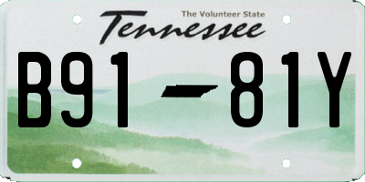 TN license plate B9181Y