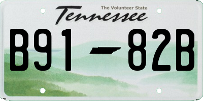 TN license plate B9182B