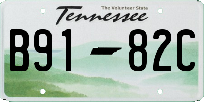 TN license plate B9182C