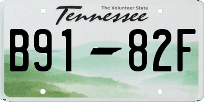 TN license plate B9182F
