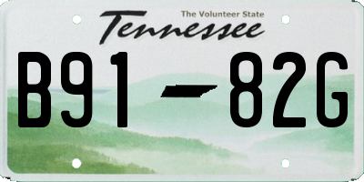 TN license plate B9182G