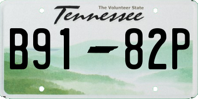 TN license plate B9182P
