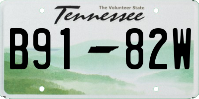 TN license plate B9182W