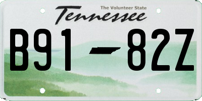 TN license plate B9182Z
