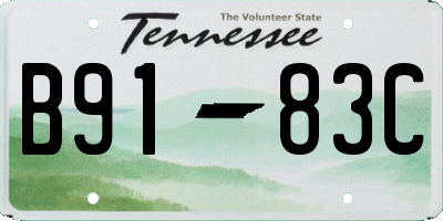 TN license plate B9183C