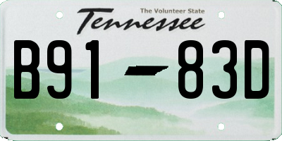 TN license plate B9183D