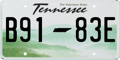 TN license plate B9183E