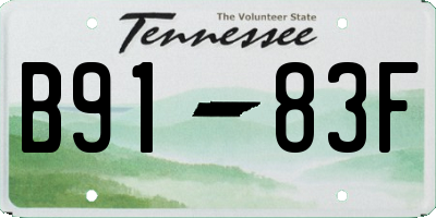 TN license plate B9183F