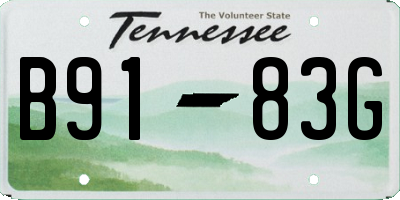 TN license plate B9183G