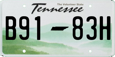 TN license plate B9183H