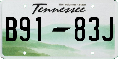 TN license plate B9183J