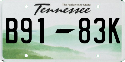 TN license plate B9183K