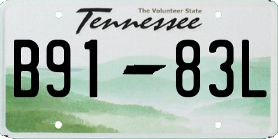 TN license plate B9183L