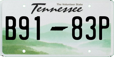 TN license plate B9183P