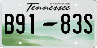 TN license plate B9183S
