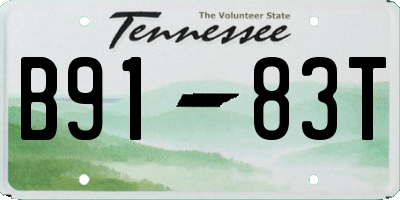 TN license plate B9183T