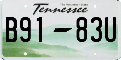 TN license plate B9183U