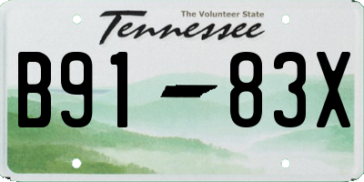 TN license plate B9183X