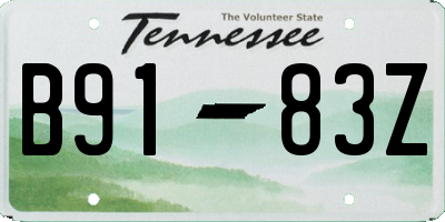 TN license plate B9183Z