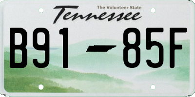 TN license plate B9185F
