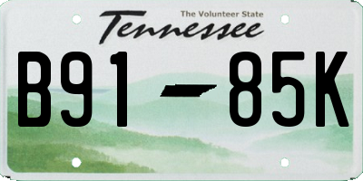 TN license plate B9185K