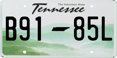 TN license plate B9185L