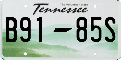 TN license plate B9185S