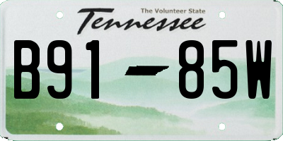 TN license plate B9185W